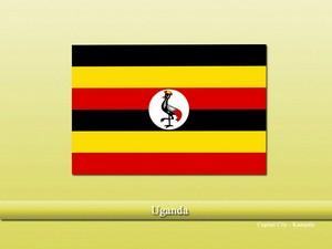 Vastu specialist in Uganda